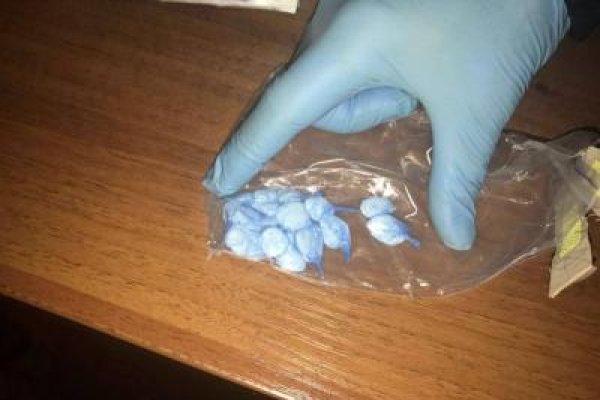 Кракен сайт тор ссылка лечение питомцев