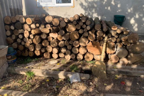 Заказать kraken лечение кошек