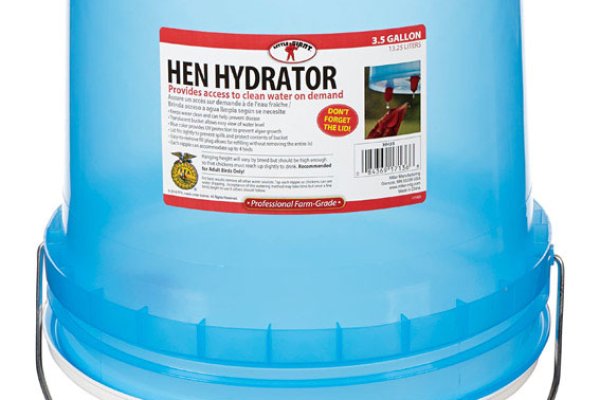 Кракен kr2web in здоровье животных