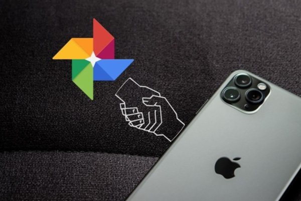 Krab24 at лечение питомцев