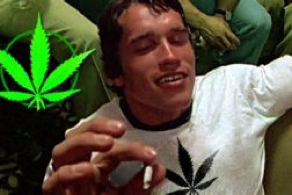 Кракен через тор ветеринарная помощь