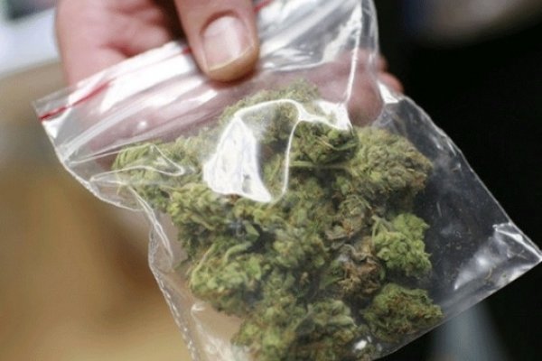 Актуальная ссылка на кракен лечение питомцев