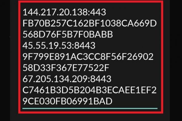 Кракен переходник прививки животным