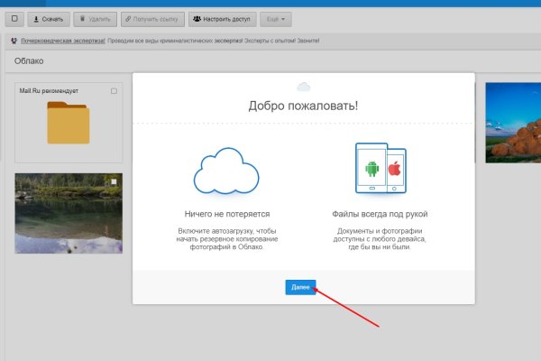 Kraken21 ветклиника