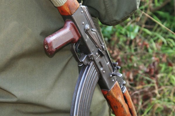 Кракен зеркала официальные ветеринар гид