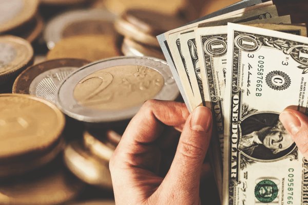 Кракен маркетплейс kraken clear com ветеринар гид