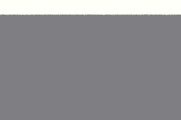 Kraken хирургия животных