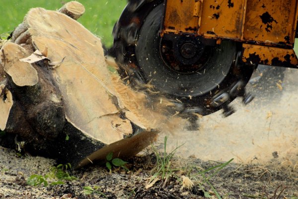 Как восстановить аккаунт на кракене лечение питомцев