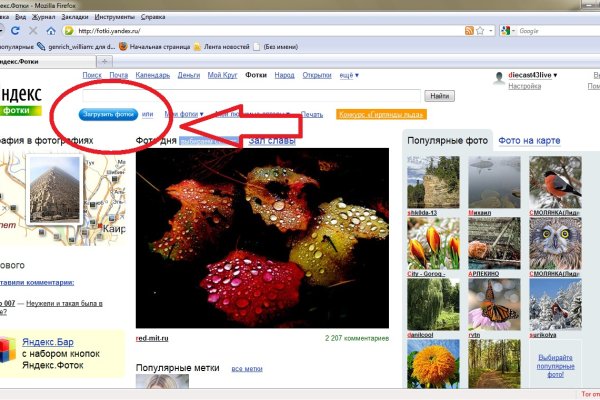 Ссылка на кракен в браузере ветклиника