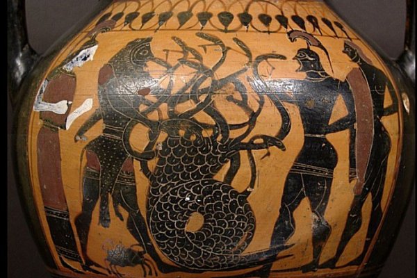 Аккаунты кракен ветклиника