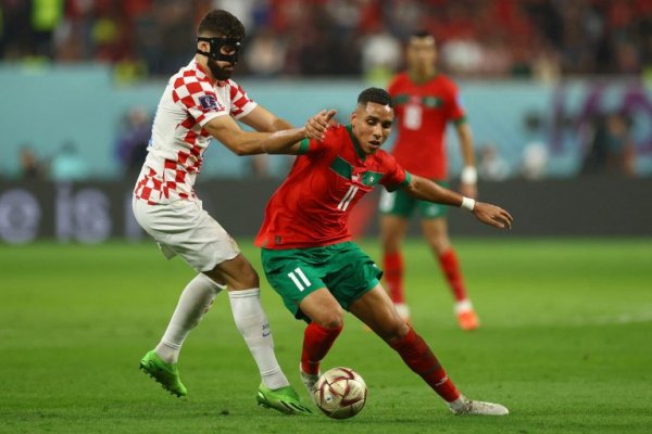 Krab19 cc лечение питомцев