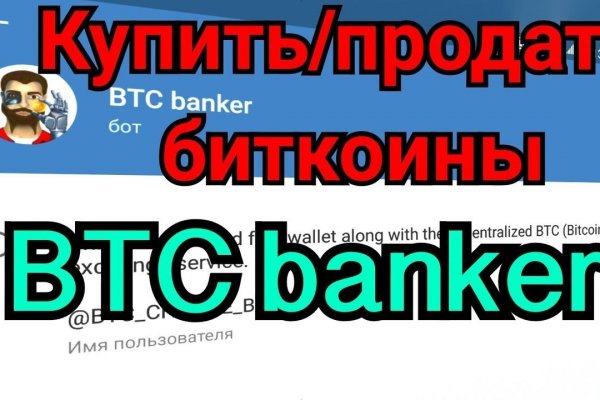 Kraken вакцинация питомцев
