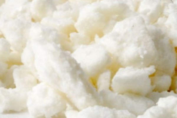 Официальный сайт переходника лечение питомцев