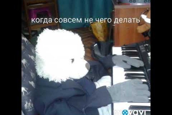 Что продает кракен ветеринар гид