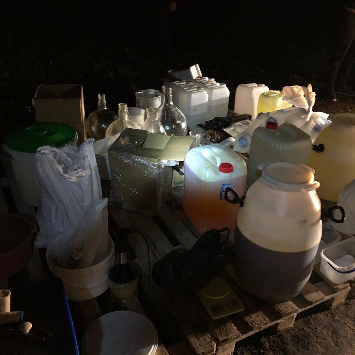 Krab26 at лечение питомцев