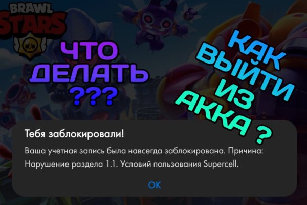 Кракен официальный ветеринар онлайн