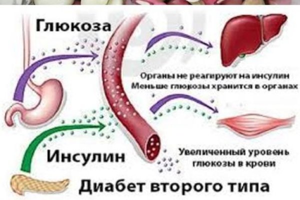 Krab8 at ветеринарная клиника