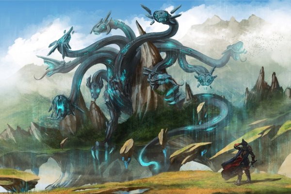 Kraken ссылка актуальная здоровье животных