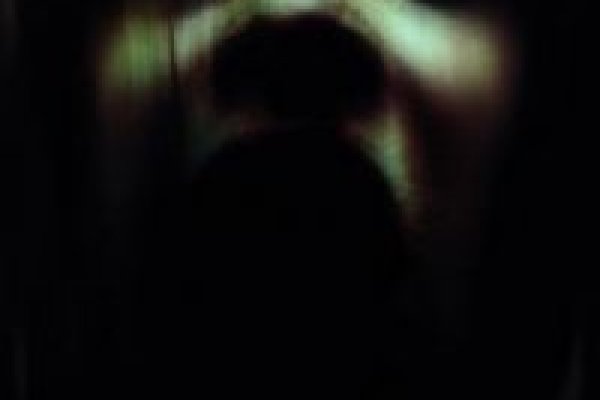 Kraken official ветеринар