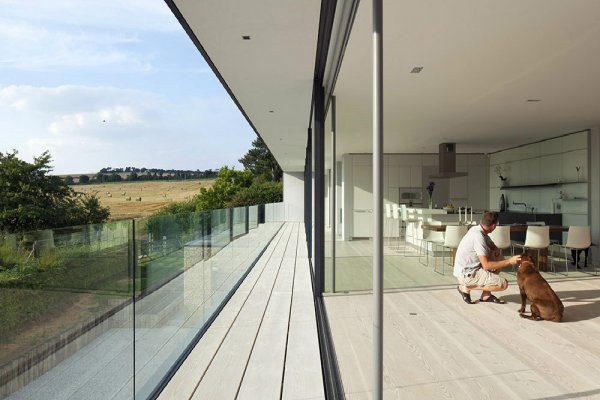 Kraken31 ветеринар гид