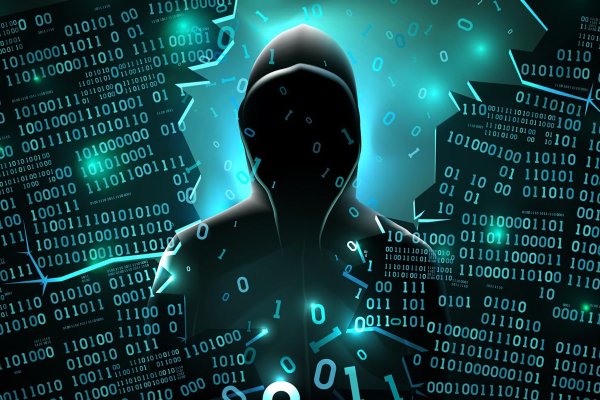 Krab32 cc консультация ветеринара