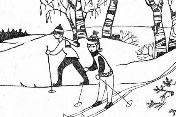 Кракен маркет ветеринарная помощь