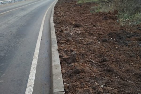 Kraken42 ветеринар