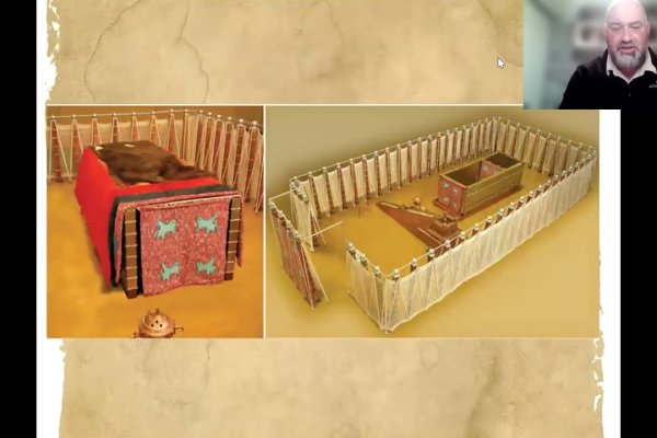 Кракен маркетплейс скачать ветеринар гид