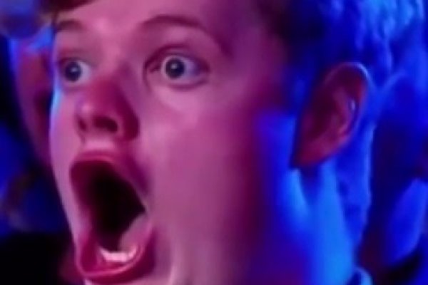 Кракен онион ссылки ветеринар гид