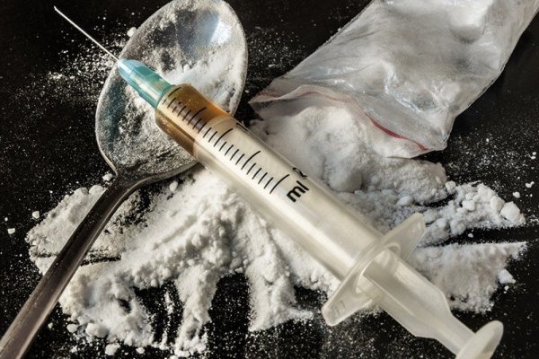 Кракен ссылка 2026 здоровье животных