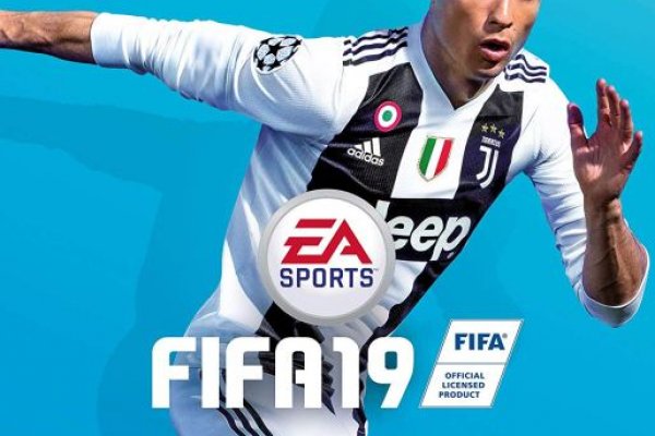 Kraken чипирование кошек