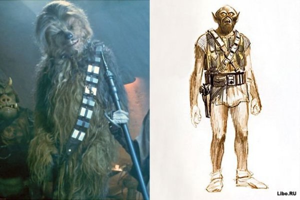 Кракен нов ветеринарная помощь