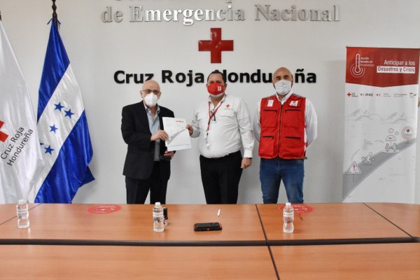 Не заходит на кракен ветеринар