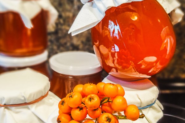 Кракен маркетплейс что это здоровье животных