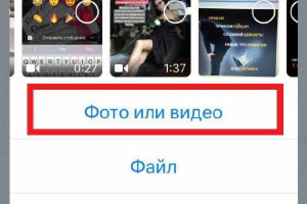 Ссылки в тор kraken лечение питомцев