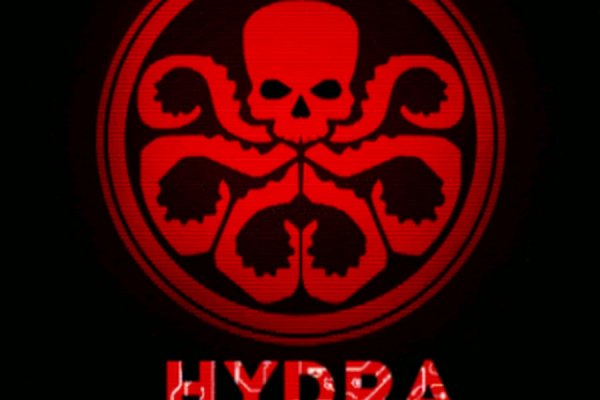 Krab24 cc корм для животных