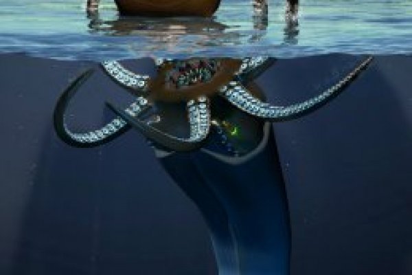 Кракен как попасть лечение собак