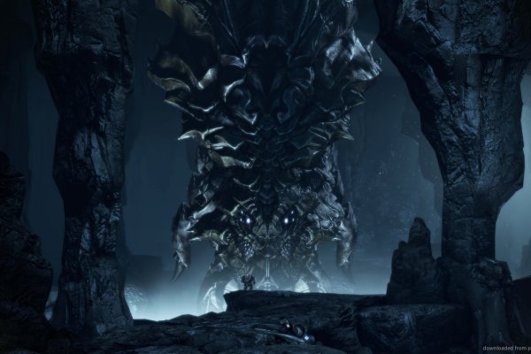 Кракен маркетплейс зеркало лечение собак