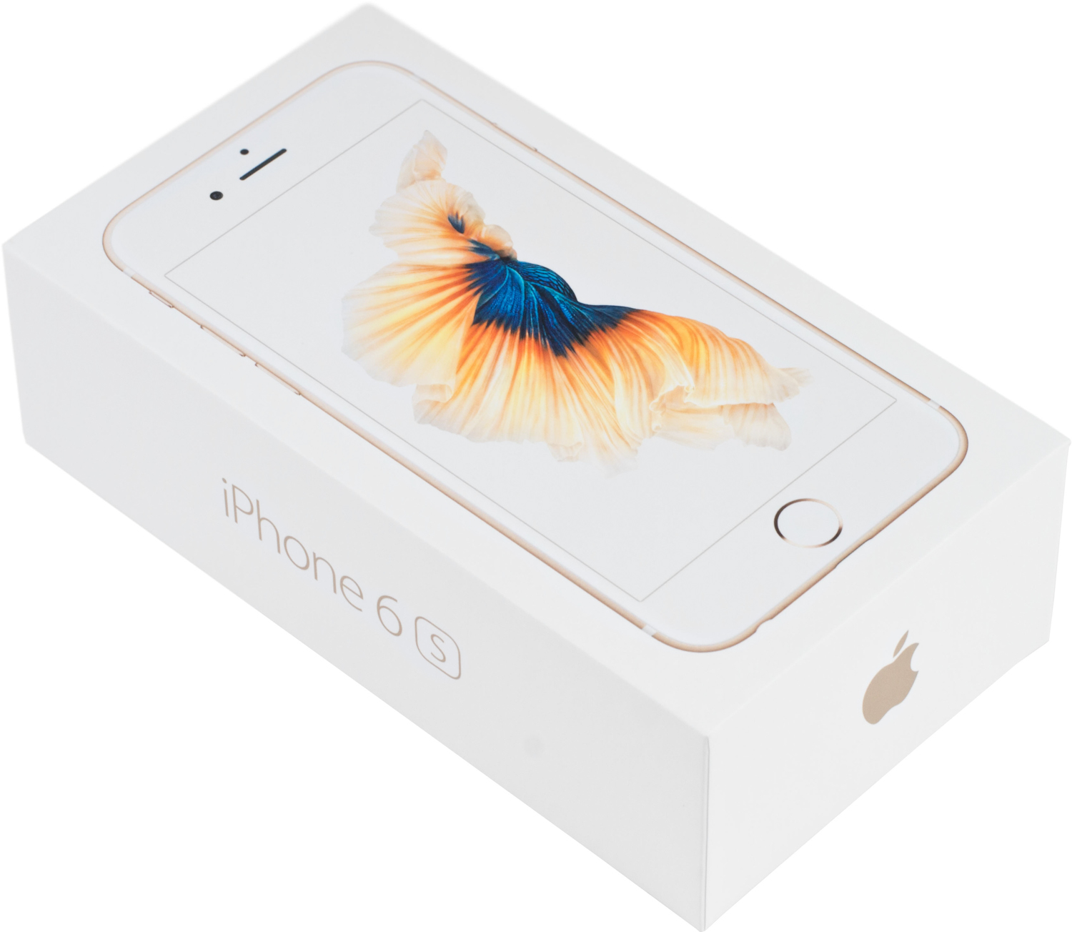 Kraken place ветеринар