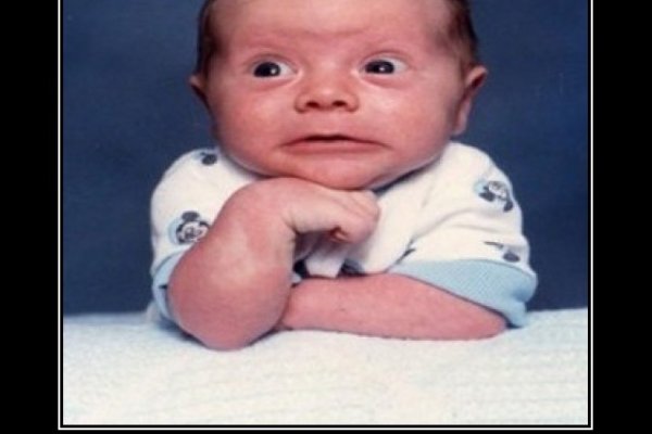 Кракен маркетплейс официальный сайт прививки животным