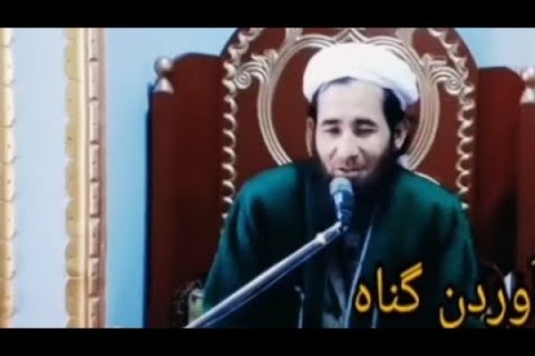 Kraken7 здоровье животных