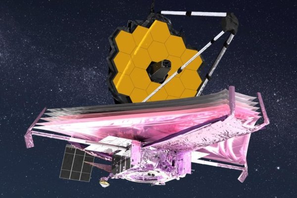 Krab25 at ветеринар гид