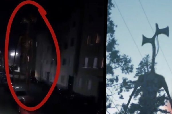 Не могу зайти на кракен ветеринар