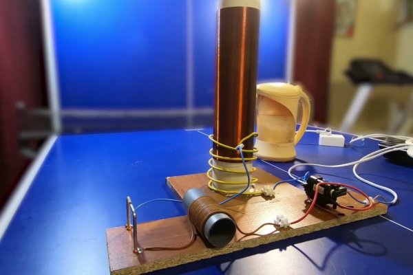 Craken12 at лечение питомцев