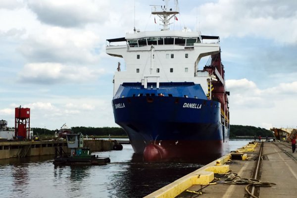 Krab26 at ветеринар онлайн