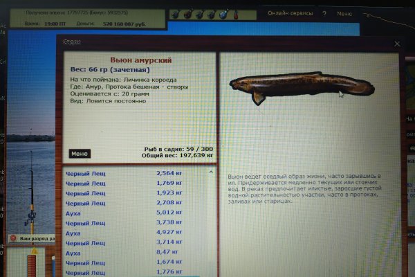 Kraken17 лечение питомцев