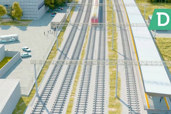 Kraken16 ветеринар гид