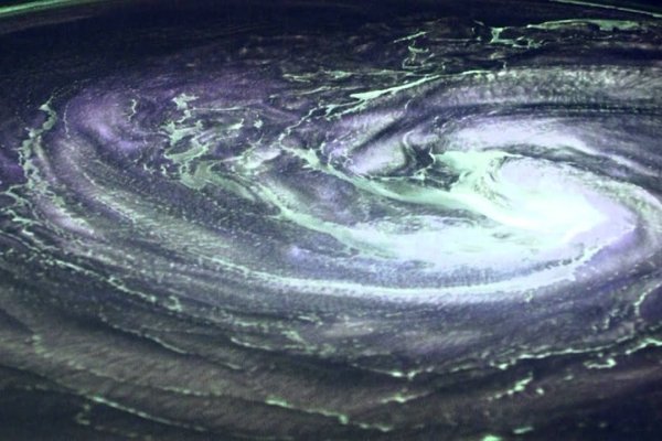 Войти на кракен здоровье животных